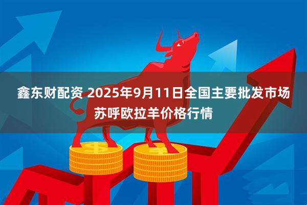鑫东财配资 2025年9月11日全国主要批发市场苏呼欧拉羊价格行情