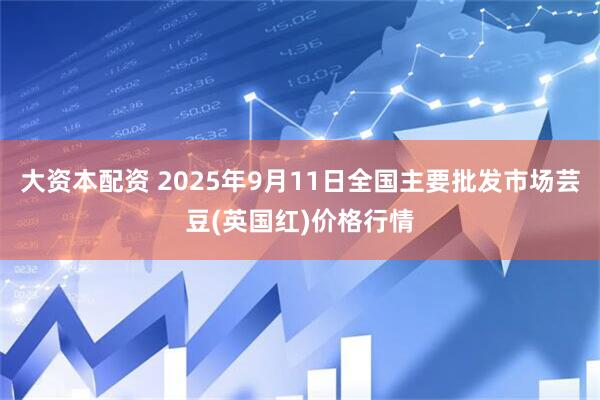 大资本配资 2025年9月11日全国主要批发市场芸豆(英国红)价格行情