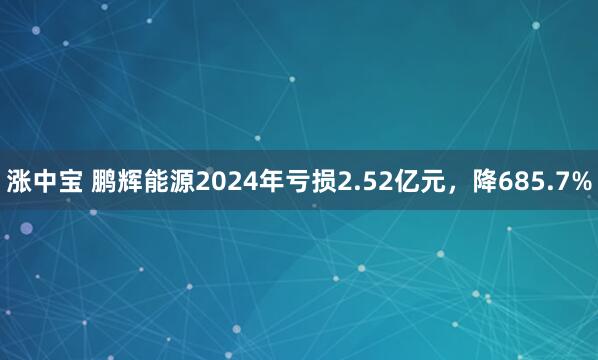 涨中宝 鹏辉能源2024年亏损2.52亿元，降685.7%