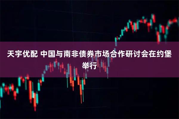 天宇优配 中国与南非债券市场合作研讨会在约堡举行