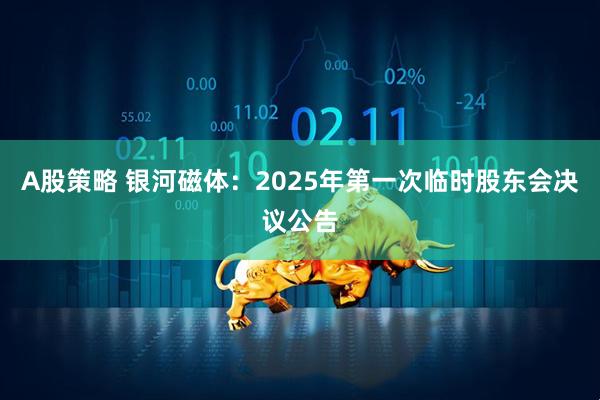 A股策略 银河磁体：2025年第一次临时股东会决议公告