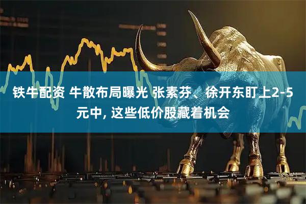 铁牛配资 牛散布局曝光 张素芬、徐开东盯上2-5元中, 这些低价股藏着机会