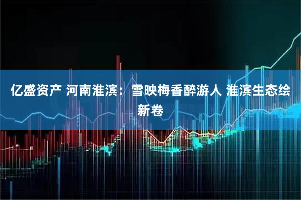 亿盛资产 河南淮滨：雪映梅香醉游人 淮滨生态绘新卷