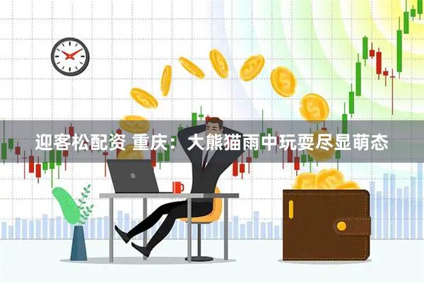 迎客松配资 重庆：大熊猫雨中玩耍尽显萌态