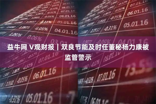 益牛网 V观财报｜双良节能及时任董秘杨力康被监管警示