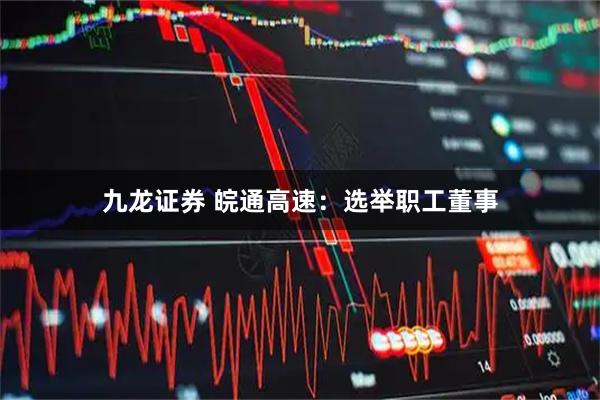 九龙证券 皖通高速：选举职工董事