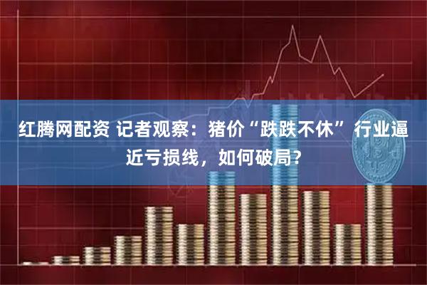 红腾网配资 记者观察：猪价“跌跌不休” 行业逼近亏损线，如何破局？