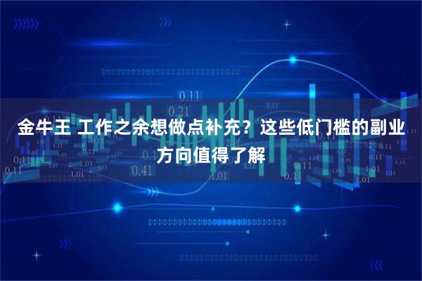 金牛王 工作之余想做点补充？这些低门槛的副业方向值得了解