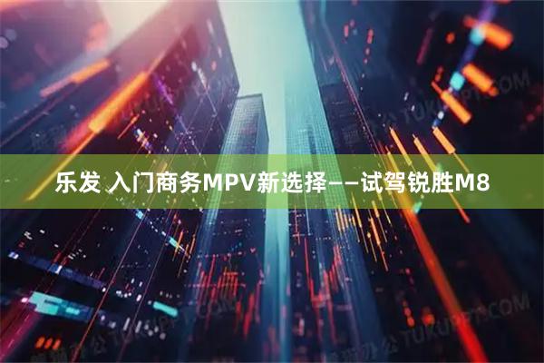 乐发 入门商务MPV新选择——试驾锐胜M8